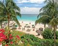 Enjoy a leisurely break at Apartment Bougainvillea A1 Deluxe; Bougainvillea Beach Resort; Barbados