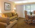 Forget about your problems at Apartment Executive Suite; Innisbrook; Gulf Coast - Florida