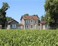 Enjoy a glass of wine at Petit Chateau Medoc; Aquitaine; France