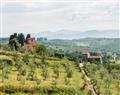Enjoy a glass of wine at Tenuta Cona; Florence; Italy