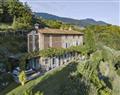 Enjoy a glass of wine at Villa Buccellato; Lucca & Pisa; Italy