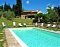 Relax at Villa Falti; Chianti & Arezzo; Italy