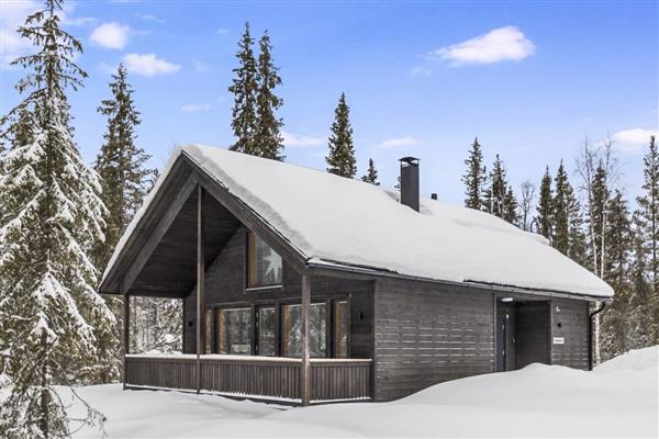 Ahiti Lodge - Finland