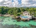 Forget about your problems at Artwood Reef; Jamaica; Caribbean