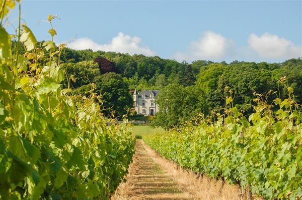 Chateau Laperier in Loire Valley, France