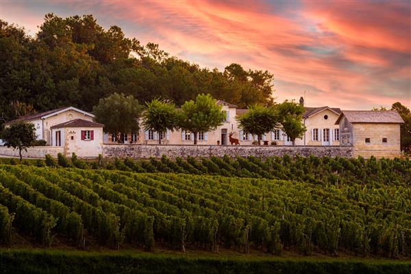 Chateau de Bourg in Bordeaux, France - Gironde