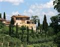 Enjoy a glass of wine at Dimora del Cedro; Tuscany; Italy