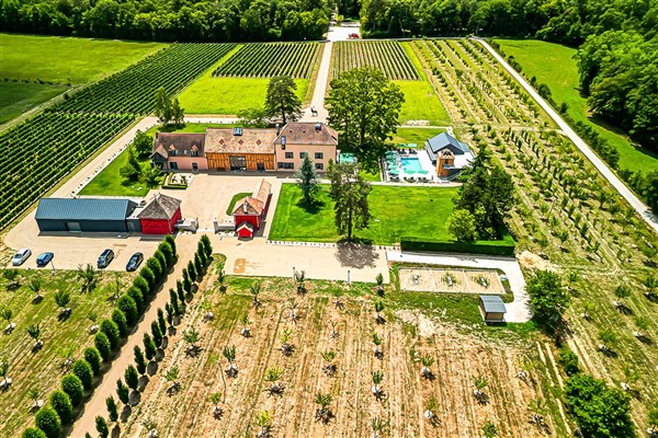 Domaine Des Vignobles in France