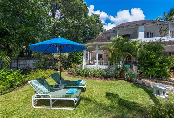 Emerald Beach #1 - Solandra - Barbados