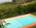 Enjoy a leisurely break at Fiore degli Olivi; Tuscany; Italy