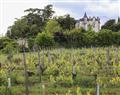 Enjoy a glass of wine at La Maison Du Vigneron; Loire Valley; France
