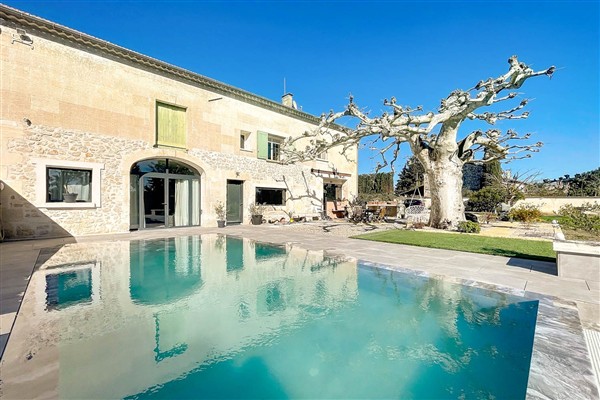 Le Grand Platane in France