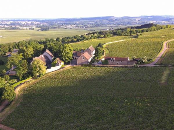 Les Vignobles dOr in Burgundy, France - Côte-dOr
