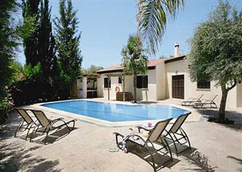 Olive Grove Villa, Paphos Region