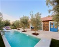 Olive Tree House in  - Portugal