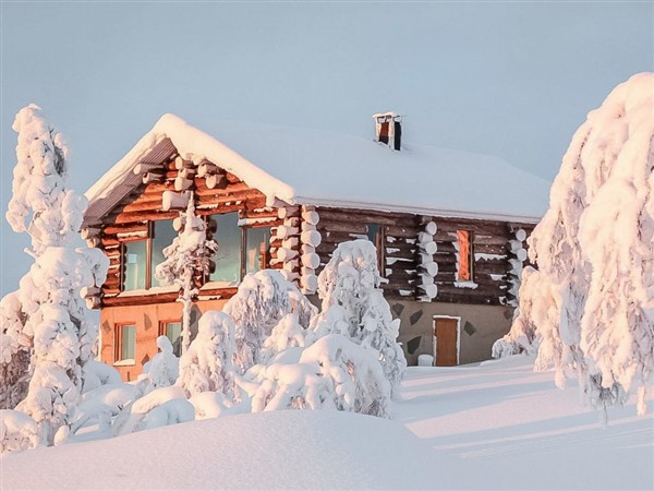 Pine Lodge - Finland
