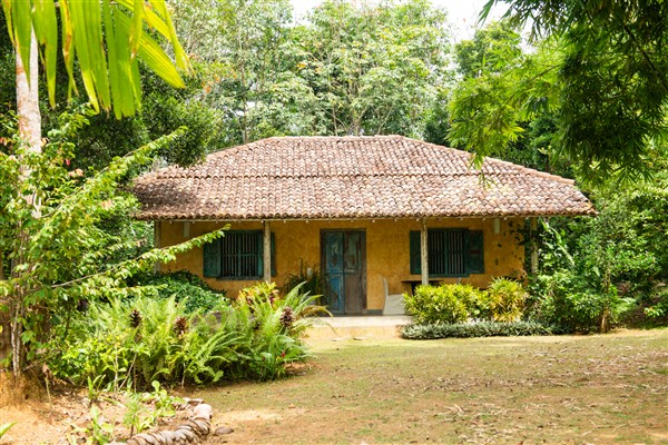 Pokkuluwa Estate in Sri Lanka