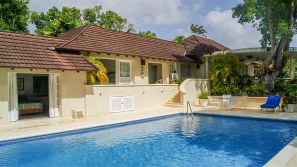 Solandra - Barbados