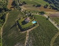 Tenuta Barberini in Orvieto TR, Umbria - Italy