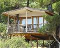 Forget about your problems at The Treehouse; Akyaka; Turkey