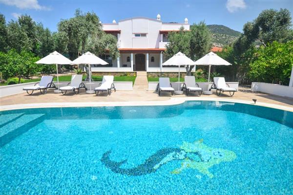 Villa Acer in Bitez, Bodrum