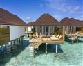 Forget about your problems at Villa Kavaabu; Olhuveli; Maldives