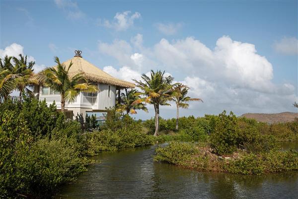 Villa Manchioneel - Caribbean