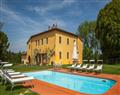Relax at Villa Montefalconi; Pisa; Tuscany